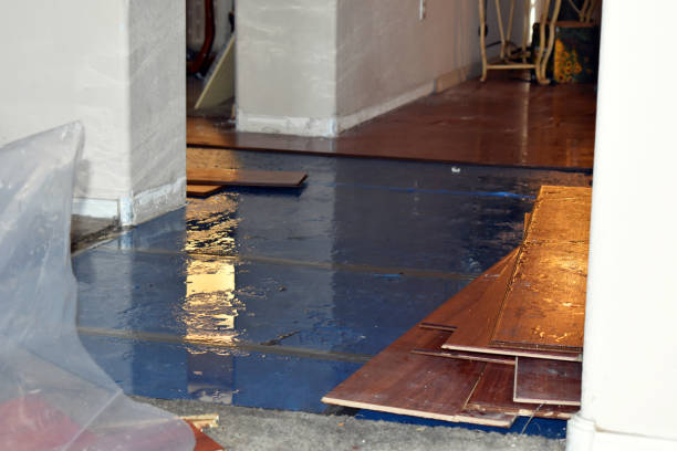 Professional Basement Flood Cleanup technician working in Clear Lake, WA